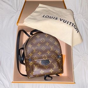 Louis Vuitton Palm Springs Mini New NEVER USED